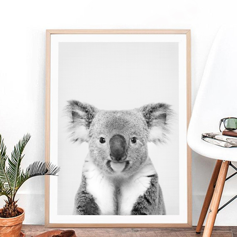 Koala Gambar Hitam dan Putih C - Photography Zoo ulasan dan harga