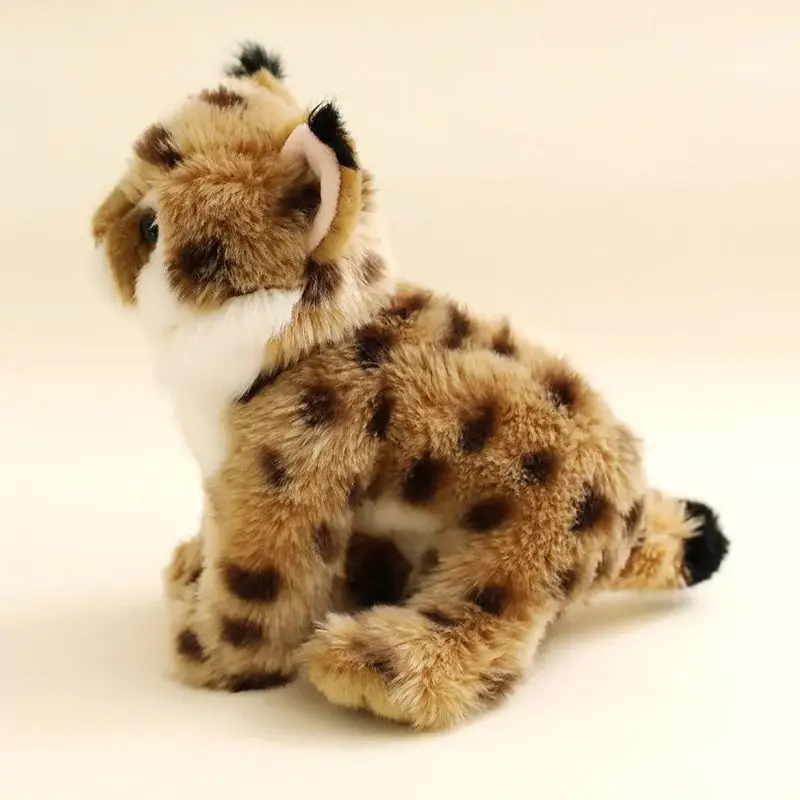 Boneka Lynx Felidae yang Mirip - Photography Zoo ulasan dan harga