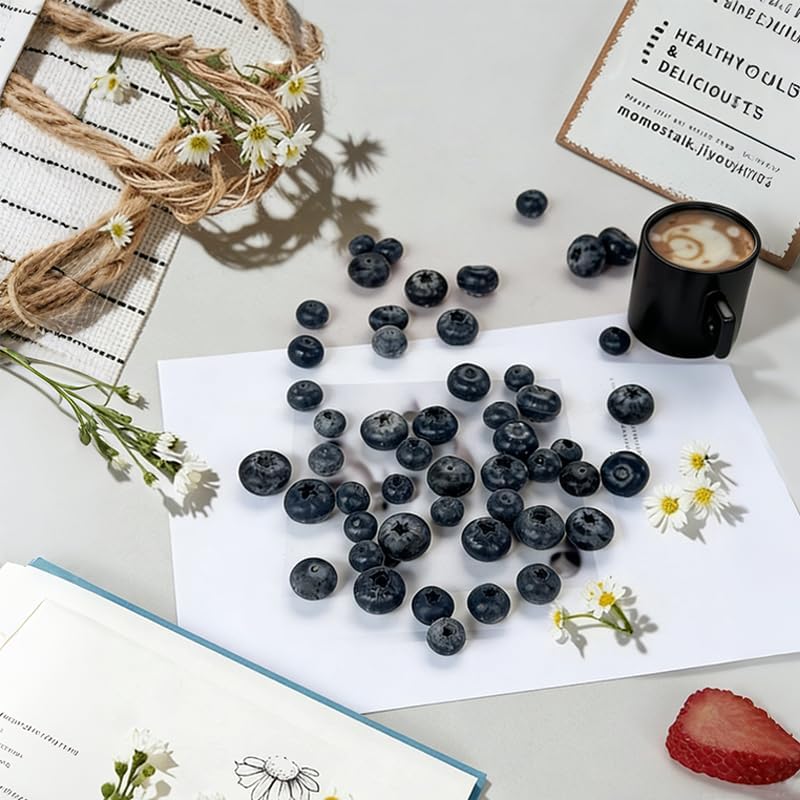 Blueberry Palsu, Buah Tiruan R - Photography Of Food ulasan dan harga