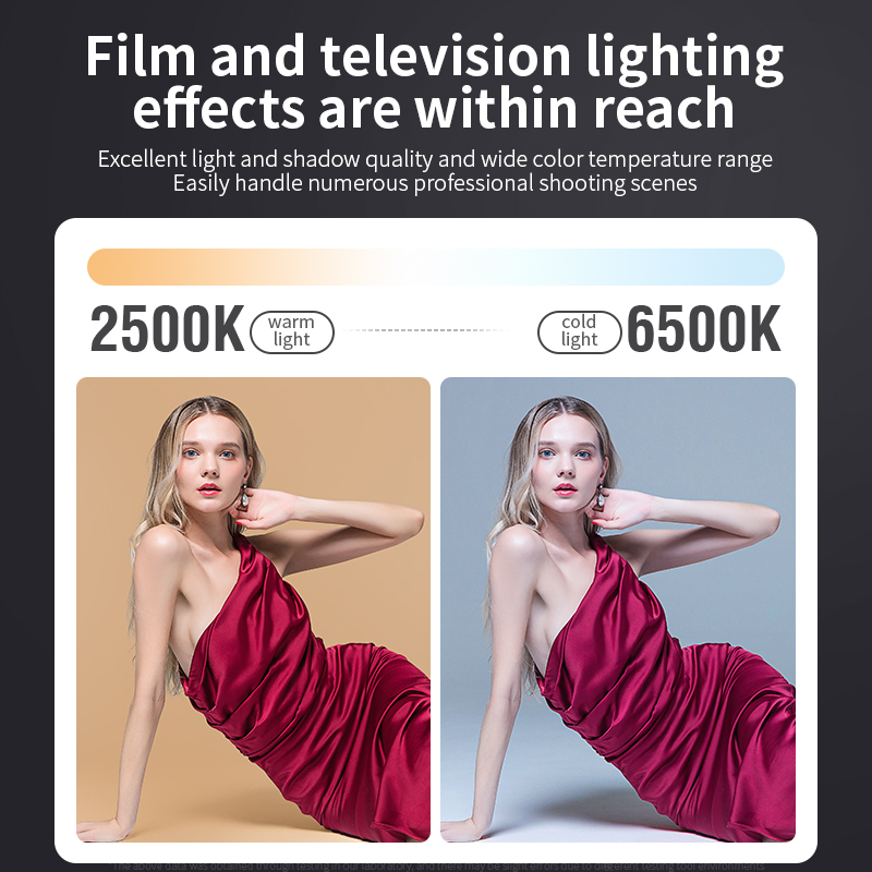 Lampu kamera Dua warna 80W, la - Strobe Light Studio ulasan dan harga