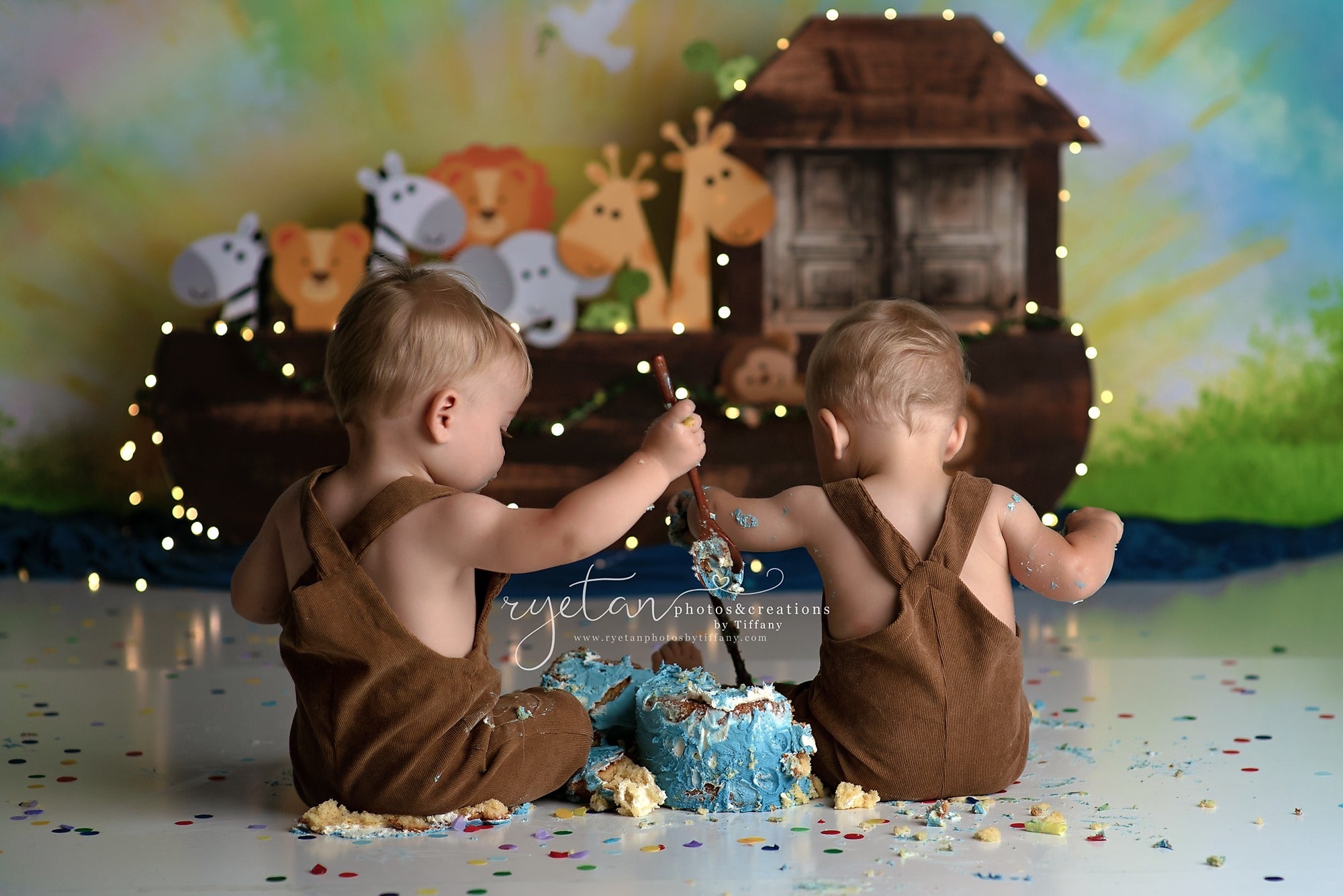 Noahs Ark latar belakang kue u - Photography Zoo ulasan dan harga