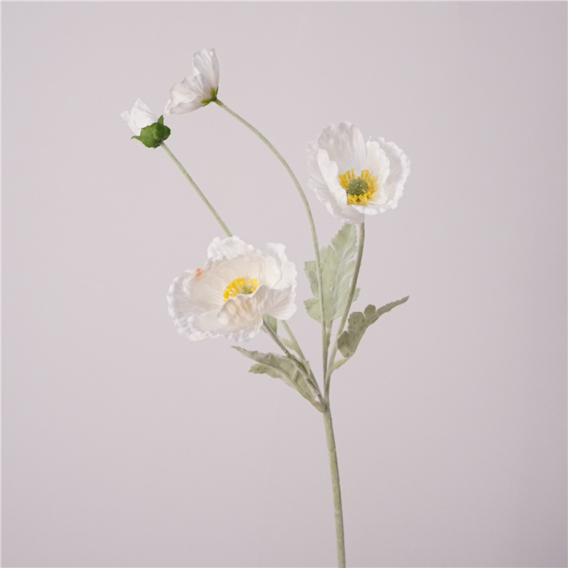 Bunga Poppy Buatan Berkualitas - Photography Hotel ulasan dan harga